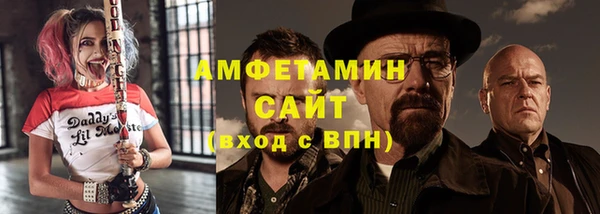 крисы Богородицк