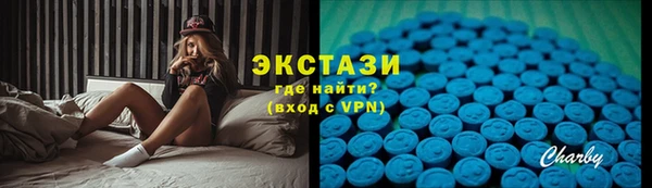 крисы Богородицк