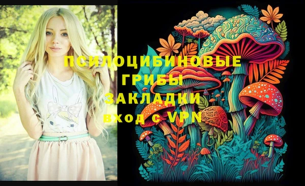 прущая мука Богданович