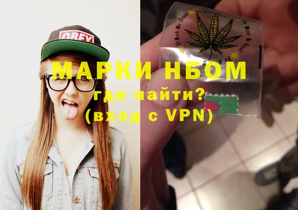 крисы Богородицк