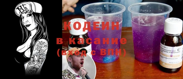 крисы Богородицк